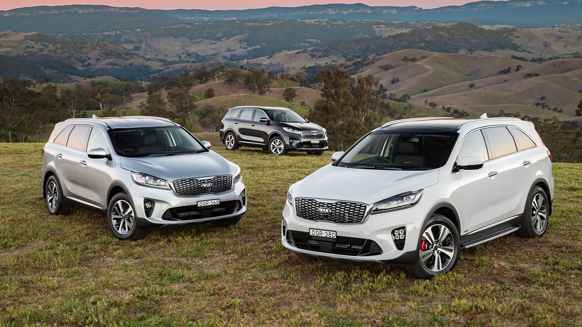 Fleet and Leasing Information Fleet Lookers Kia