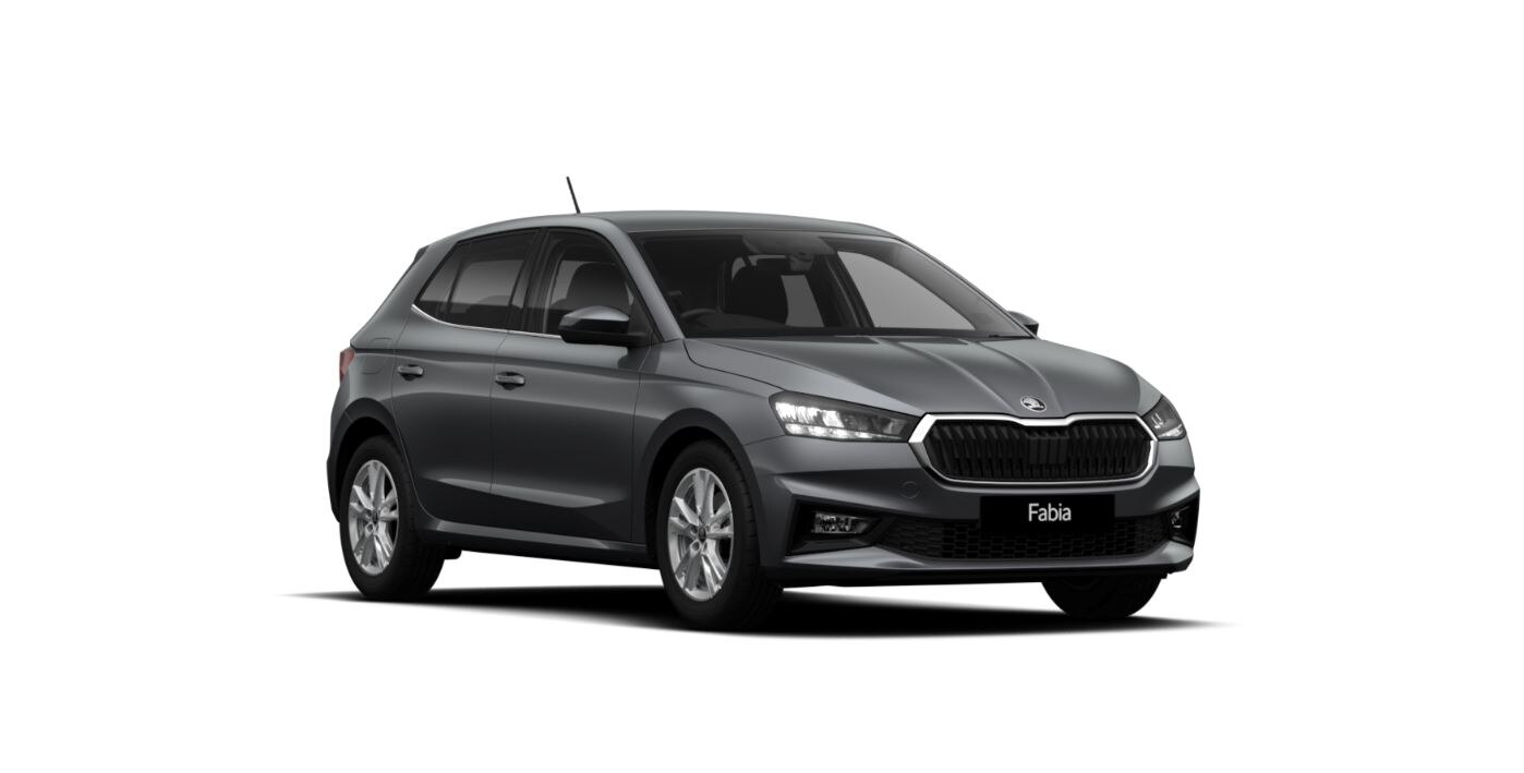 SKODA FABIA HATCHBACK 1.0 TSI 116 SE L Edition 5dr DSG