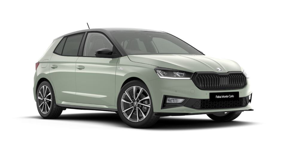 SKODA FABIA HATCHBACK 1.0 TSI 116 Monte Carlo Edition 5dr DSG