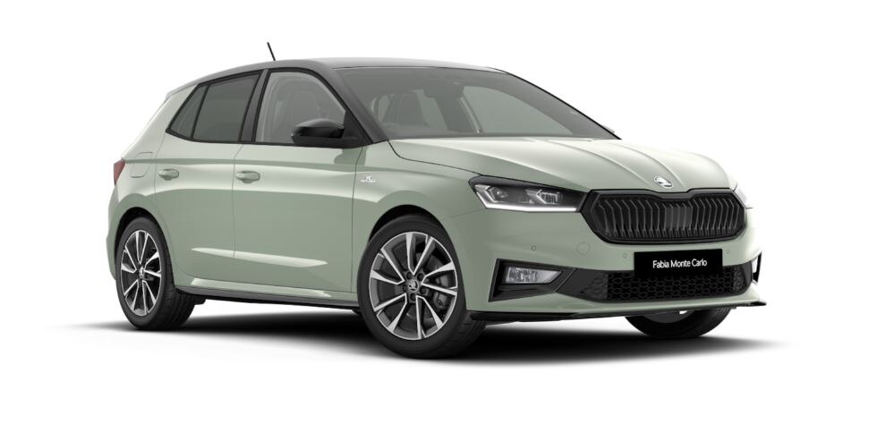 SKODA FABIA HATCHBACK 1.0 TSI 116 Monte Carlo Edition 5dr