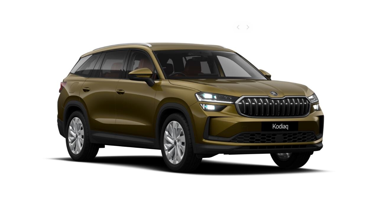 SKODA KODIAQ ESTATE 1.5 TSI e-TEC SE L 5dr DSG [7 Seat]