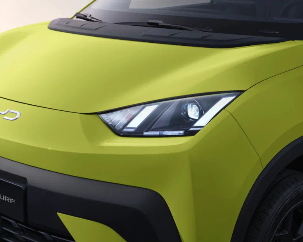 Dolphin surf daytime running lights