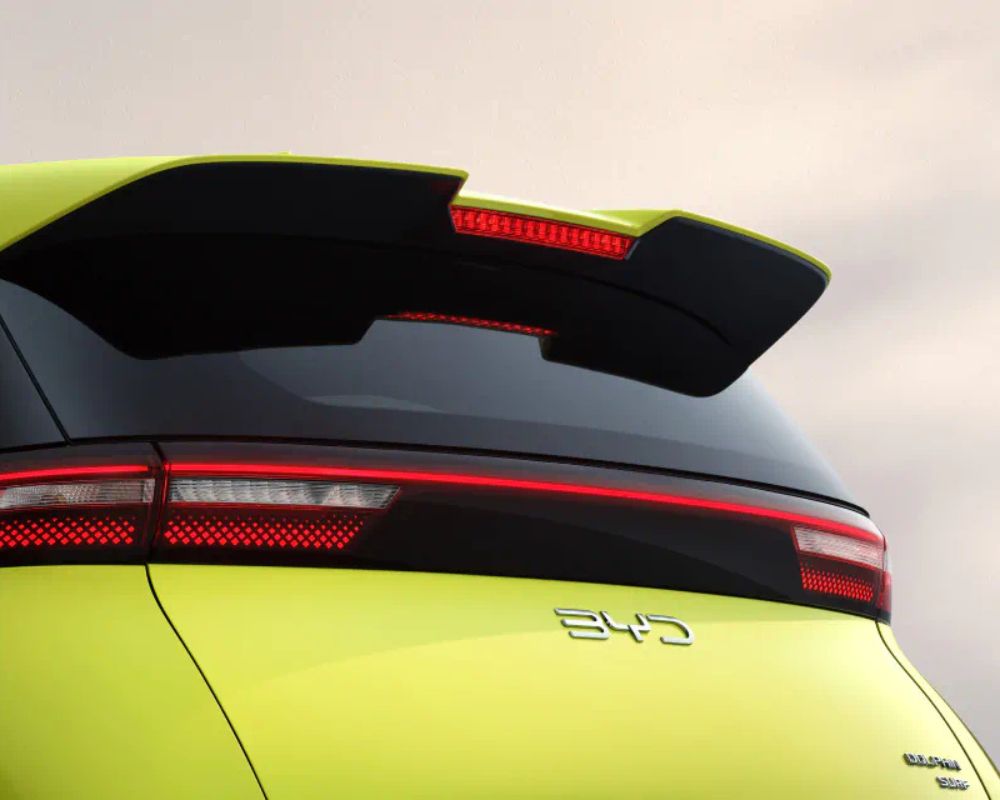 Dolphin Surf Spoiler