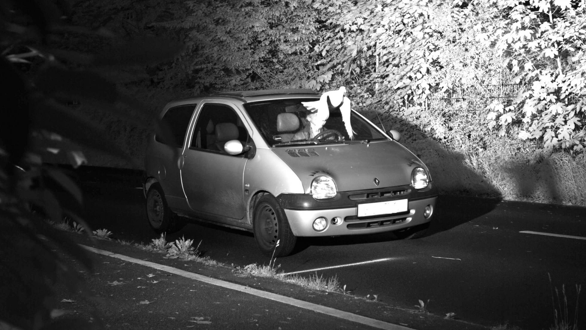 A speeding driver in Germany was saved from prosecution by a pigeon
