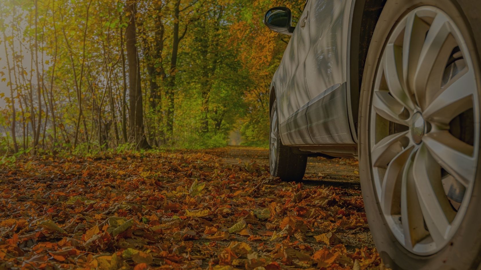 Car driving along a UK country road in autumn with brown falling leaves