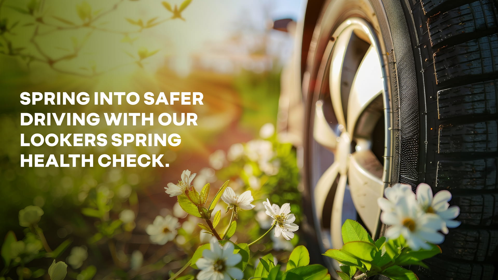 Renault spring health check