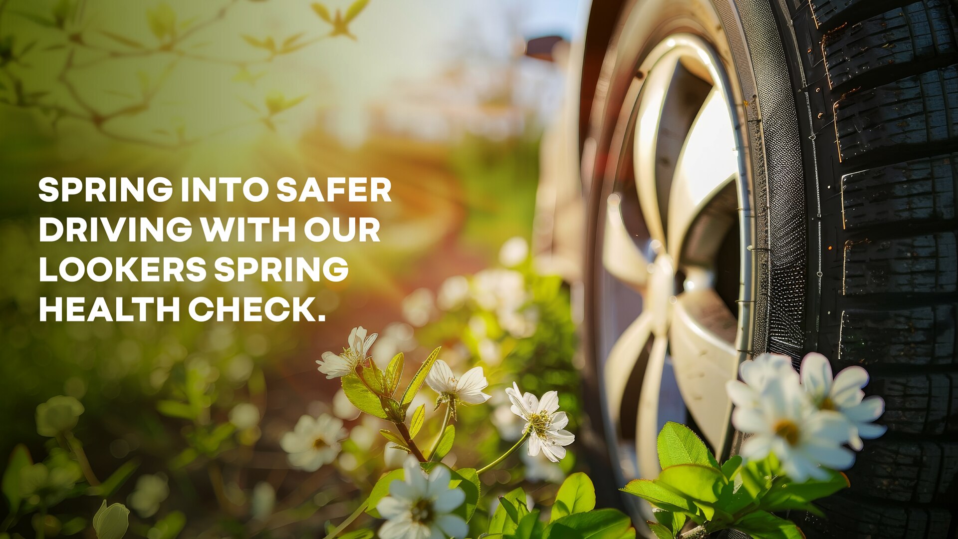 Renault spring health check