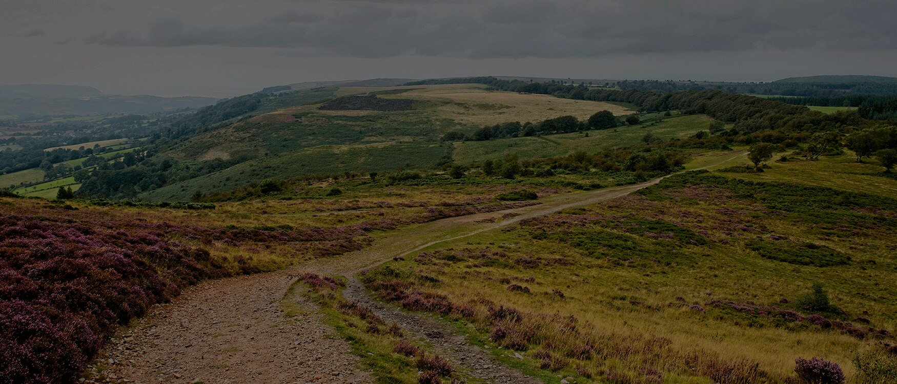 Route Background